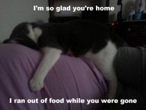 Whenever we get home