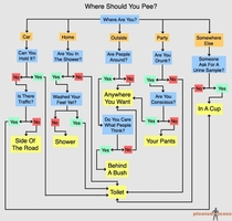 Where you should pee 