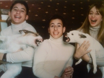 Which is worse the dogs or the bros
