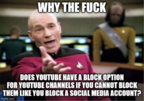 Which would you prefer The Youtube Dislike Button Or the ability to block a youtube channelvideo like you block people on social media