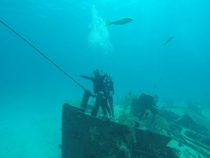 While diving in the Bahamas my friends and I found a sunken ship and decided to reenact our favorite movie scene