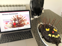 While in quarantine my GF did her best to bake me a hedgehog-shaped cake Turned out to be an evil vooodoo mask