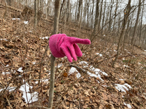 While on a hike today came across this trail marker