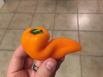 While packing my sons lunch I found a pepper that brought me back to my college days