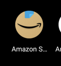 Who approved the Fleshlight for Amazons new app logo