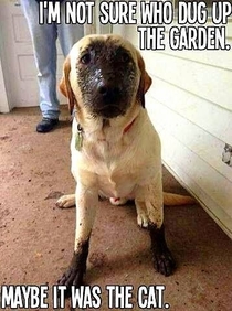 Who dug up the garden