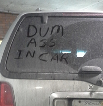 Who is the real Dumb Ass the owner of the vehicle or the writer of this message