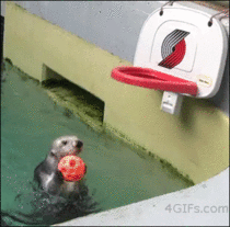 Who said otters cant jump
