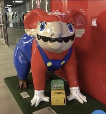 Who wants to ride Mario