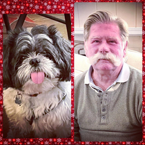 Who Wore it Better Uncle Paul or Bravo the Shih Tzu