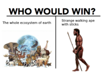 Who would win