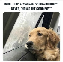 Whos a good boy
