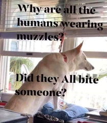 Why are all of the humans wearing muzzles