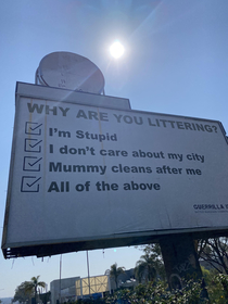 Why are you littering