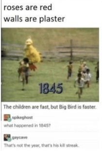 Why big bird