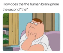 why brain why