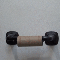Why cant all toilet paper holders be this quick