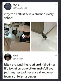 why did the chicken cross the road