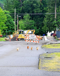 Why did the chickens cross the road -Went for a walk around town amp found a group of chickens also going for a walk