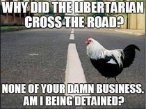 Why did the libertarian cross the road