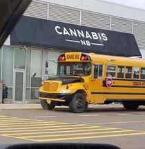Why didnt they have field trips like this when I was in school