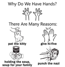 Why do we have hands