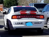 Why does a lone wolf need a sedan
