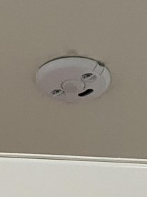 Why does the smoke detector in my office bathroom look like its already witnessed the nastiest poop of 