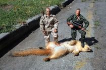 Why grown men should not own action figures