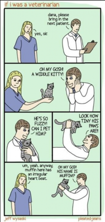 Why I Couldnt be a Vet