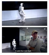 Why I love Karl Pilkington