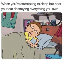 Why I never get enough sleep