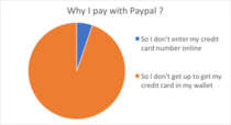 Why I pay with paypal 