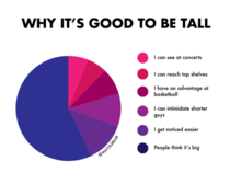 Why its good to be tall