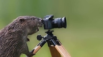 Why National Geographic photographers are so good 