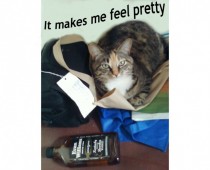 Why  of Cats Prefer Evan Williams