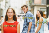 Why tho