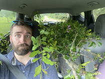 Wife Lets stop at this plant nursery I just want to look