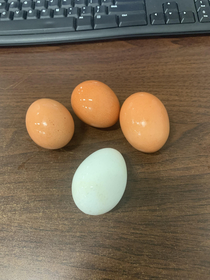 Wife sent me to work with some hard boiled eggs I hope its not some hidden message