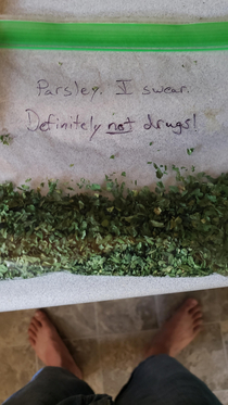 Wife told me to label the bag of extra parsley so she knew what it was when she found it later