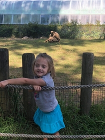 Wife took my daughter to the zoo today