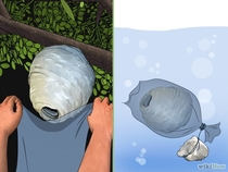 WikiHow explains the best way to get rid of Wasps