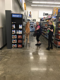 Wild and Wonderful Walmart