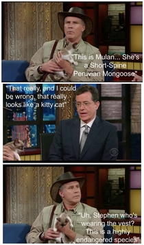 Will Ferrell Animal Expert