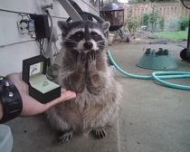 Will you marry me