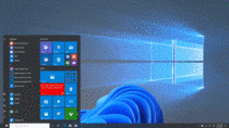 Windows  vs Windows  via Microsoft