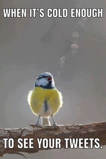 Winter is coming my dudes