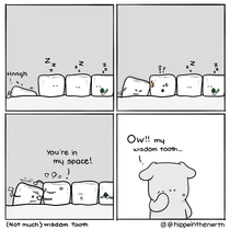 Wisdom tooth 