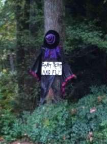 wise words from a witch
