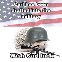 Wish Carl luck please